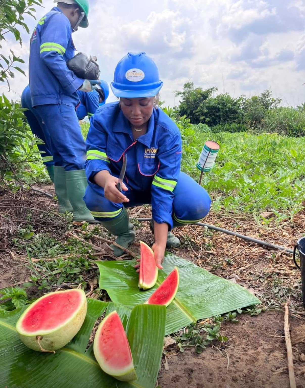 Agriculture